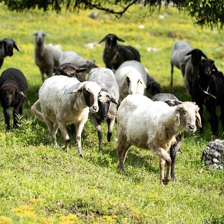 Wimbachlehen Daire Ramsau bei Berchtesgaden Dış mekan fotoğraf