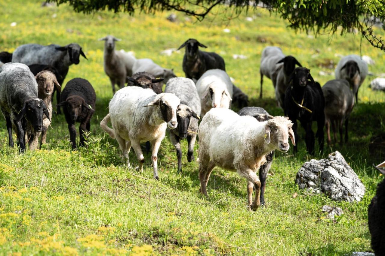 Wimbachlehen Daire Ramsau bei Berchtesgaden Dış mekan fotoğraf